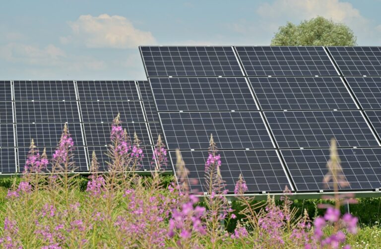 Solar panels installed in a rural village